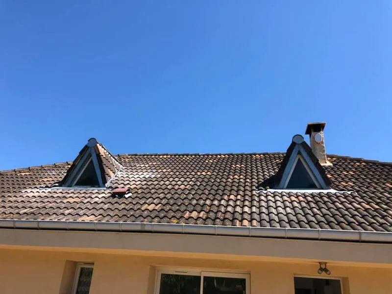 Deux fenêtres de toit avec abergements et rebords en zinc